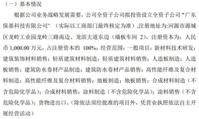 宏基新材全资子公司拟投资1000万设立全资子公司广东保基科技